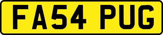 FA54PUG