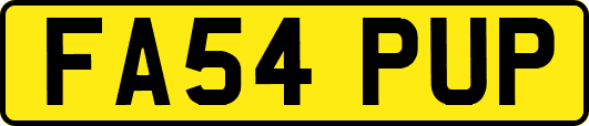 FA54PUP