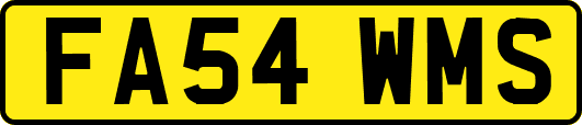 FA54WMS