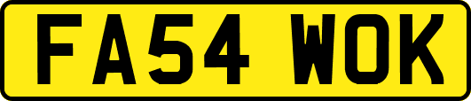 FA54WOK