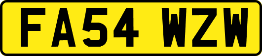 FA54WZW