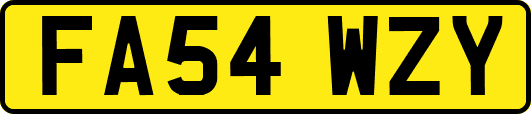FA54WZY