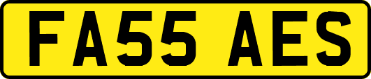 FA55AES