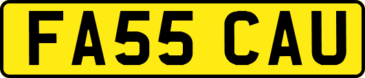 FA55CAU