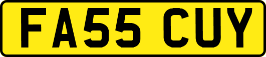 FA55CUY