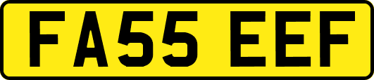 FA55EEF