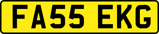 FA55EKG