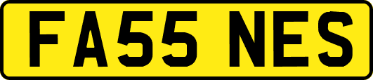 FA55NES