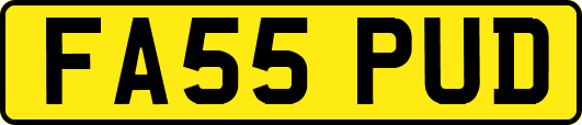 FA55PUD