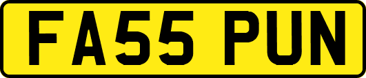 FA55PUN
