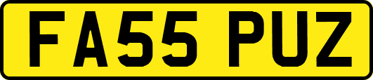 FA55PUZ