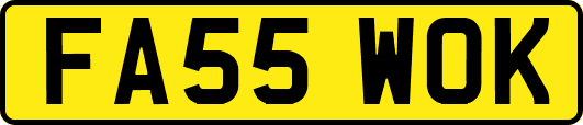 FA55WOK