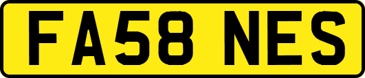 FA58NES