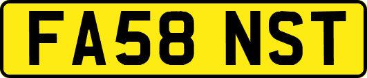 FA58NST