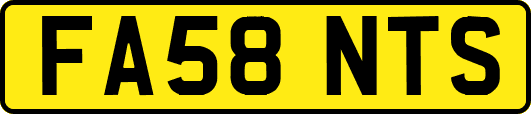 FA58NTS
