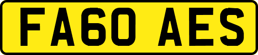 FA60AES