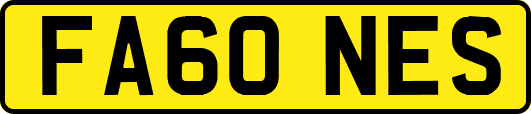 FA60NES