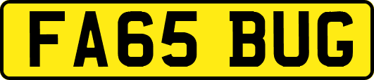 FA65BUG
