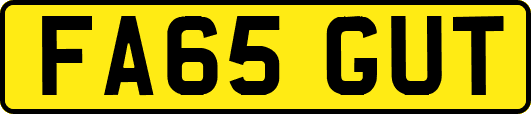 FA65GUT