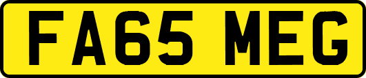 FA65MEG
