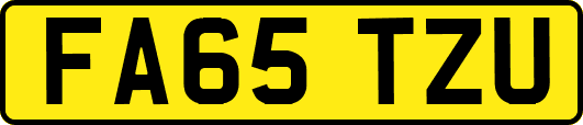 FA65TZU