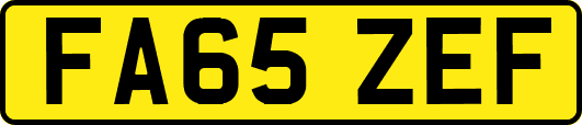 FA65ZEF