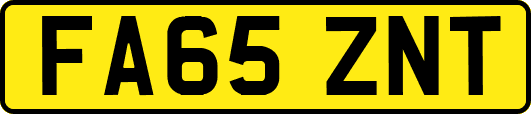 FA65ZNT