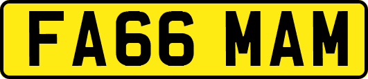 FA66MAM