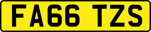 FA66TZS