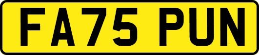 FA75PUN