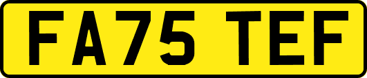 FA75TEF