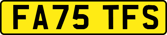 FA75TFS