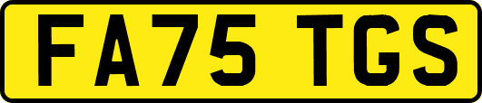 FA75TGS