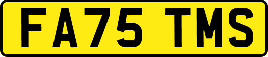 FA75TMS