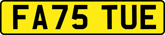 FA75TUE