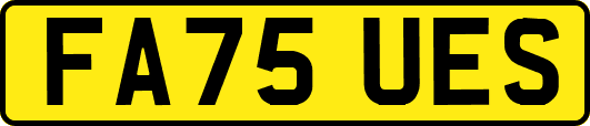FA75UES