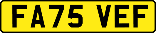 FA75VEF