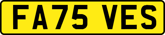 FA75VES