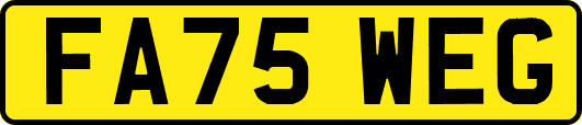 FA75WEG