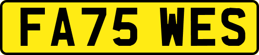 FA75WES