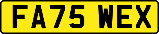 FA75WEX