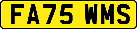 FA75WMS