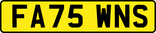 FA75WNS