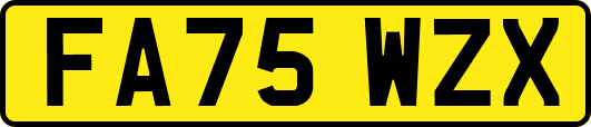 FA75WZX