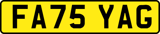 FA75YAG