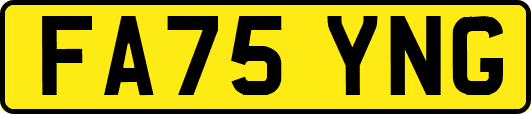 FA75YNG