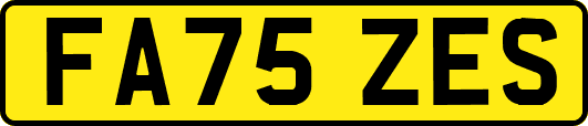 FA75ZES