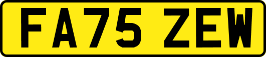 FA75ZEW