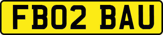 FB02BAU