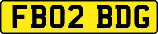 FB02BDG